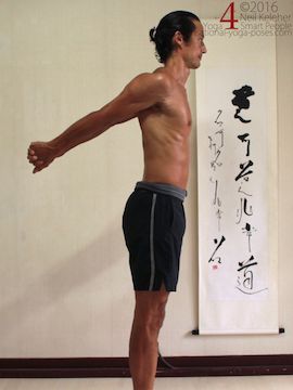 pectoralis minor: shoulder exercises using pectoralis minor to help arms behind the back prasarrita padottanasana c arm position, yoga poses