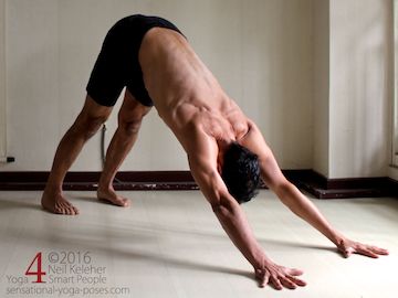 Scapular stabilization, downward dog. Neil Keleher. Sensational Yoga Poses.