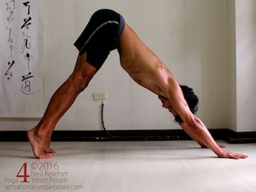 downward dog with heels lifted. Neil Keleher, Sensational Yoga Poses.