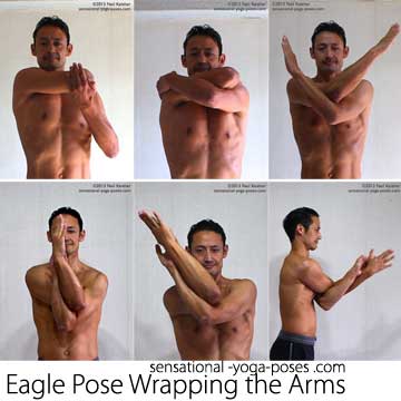 eagle yoga pose, wrapping the arms by using one arm to pull on the elbow and then grabbing the back of the shoulders with arms crossed. From there rotate the upper arms so that the forearms move upwards. Once arms are crossed you can tip them to the side or tip them forwards so that forearms are closer to horizontal.