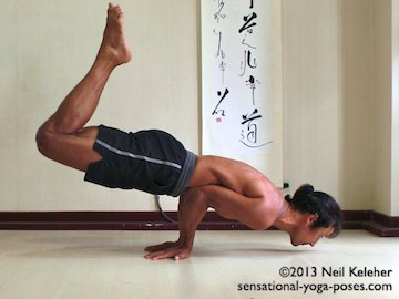 Mayurasana yoga pose. In this yoga pose, hands are on the floor with fingers pointing backwards. Elbows are bent and are close enough together that the stomach can be placed on top of them. Stomach muscles (abdominals) are engaged. With stomach resting on elbows, move torso and elbows forwards relative to the hands till you the point where both legs and chin can be lifted off of the floor. In this picture knees are bent with both knees and chin off of the floor. Bending the knees can make it easier to lift up in this yoga pose. Neil Keleher. Sensational Yoga Poses.