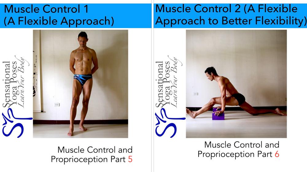 Muscle control for better flexibility part 1 and part 2. Neil Keleher. Sensational Yoga Poses.