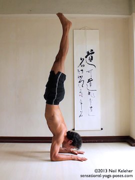 pincha mayurasana, forearm stand, inverted yoga pose, yoga balance pose