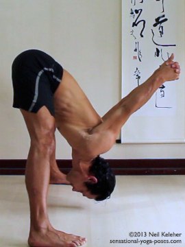 ashtanga yoga poses, prasaritta padotanasana b, side view