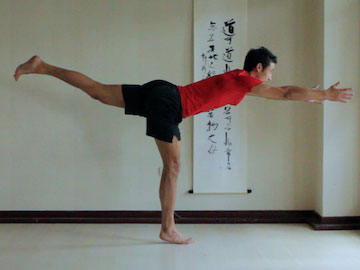 warrior 3 vinyasa, knee straight, arms forwards, weight on front of foot, heel lifted.