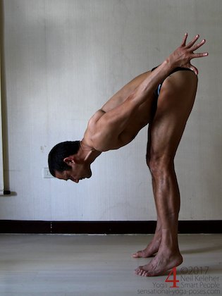 Standing forward bend with heels lifted (calfs active). Neil Keleher. Sensational Yoga Poses.