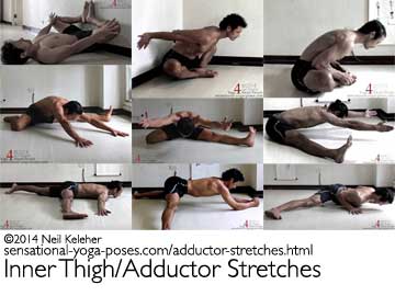 inner thigh/adductor stretches including bound angle pose while prone with feet against a wall using hands to push on knees, bound angle upright against a way using hands to push ribcage forwards, bound angle with hands grabbing feet, hurdlers stretch or frong pose bend forwards between the legs with hands on the floor, hurtlers stretch bent forwards between the legs with arms reaching forwards and off of the floor, wide leg seated forward fold with hands lifted and reaching forwards, prone big toe pose, half side split, full side splits with hands in push up position and chest on the floor. Neil Keleher. Sensational Yoga Poses.