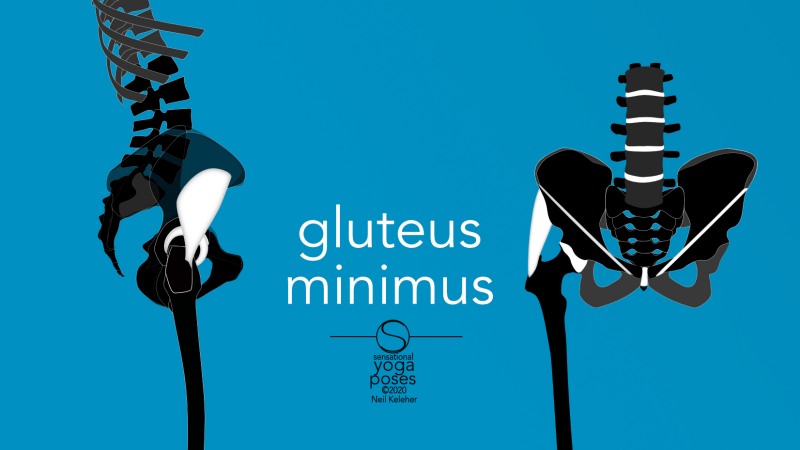 gluteus minimus Neil Keleher, Sensational Yoga Poses.