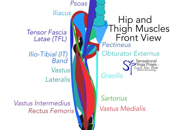 Knee Joint Stability, Controlling Knee Bend And Shin Rotation (Relative To The Thigh), Neil Keleher, Sensational yoga poses