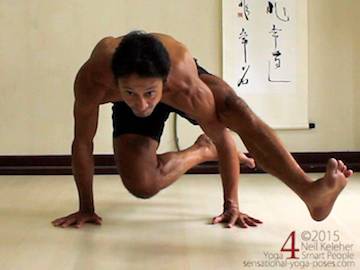 eka pada koundinyasana easy variation, arm balance variation, easy arm balance, compass yoga pose alternatives and preparations, compass pose, binding yoga poses, shoulder stretches, leg stretches