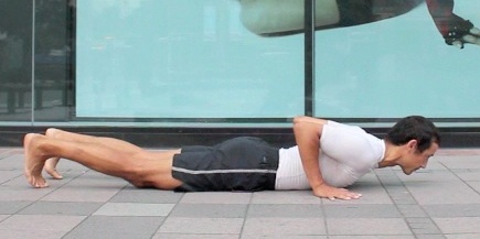 chaturanga dandasana, chaturanga dandasana