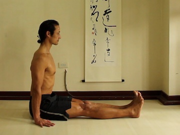 ashtanga yoga poses, dandasana