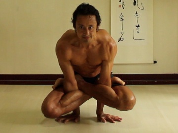 kukkatasana