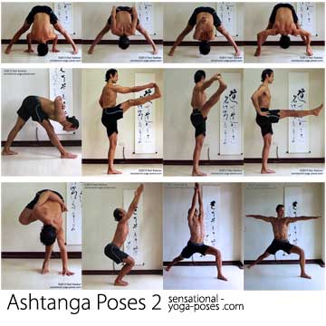 ashtanga yoga standing poses, prasaritta padotanasana a, prasaritta padotanasana b, prasaritta padotanasana c, prasaritta padotanasana d, parsvotanasana, reverse prayer pose, utthitta hasta padangustasana, hand to big toe pose, ardha baddha padmasana, half bound lotus pose, utkatasana, chair pose, virabhadrasana 1, warrior 1, veribhadrasana 2, warrior 2