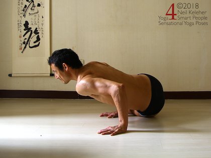 Astavakrasana preparation exercise, bending the elbows as if doing a push up, note how the shoulder blades are kept protracted. Neil Keleher. Sensational Yoga Poses.