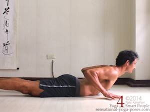 Cobra (bhujangasana) prep position with hands slightly lifted.