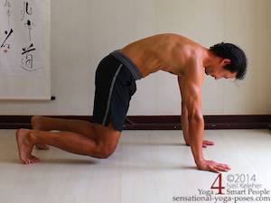 Dog pose hip flexor exercise.