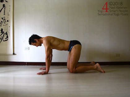 Bird dog prep position on all fours with shoulder blades protracted so that ribcage lifts up away from the floor. Neil Keleher. Sensational Yoga Poses.