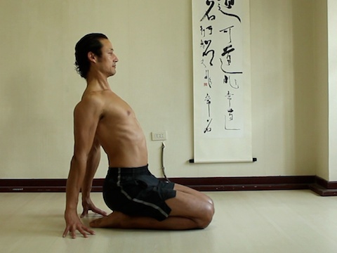 camel pose preparation, ustrasana yoga pose, shoulders active, chest forwards, shoulders back