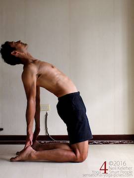 camel pose, Neil Keleher. Sensational Yoga Poses.