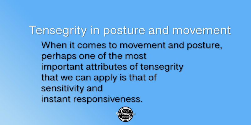 tensegrity in posture and movement tensegrity in posture and movement. Neil Keleher, Sensational Yoga Poses.