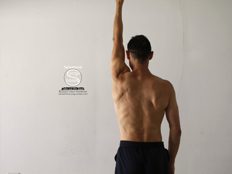 Shoulder stretch, arm up, clavicle upwards and inwards towards face, shoulder blade lifted. Neil Keleher, Sensational Yoga Poses.