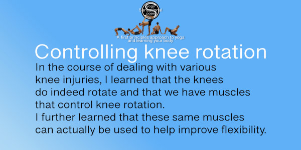 In the course of dealing with various knee injuries, I learned that the knees do indeed rotate and that we have muscles that control knee rotation. I further learned that these same muscles can actually be used to help improve flexibility.  Neil Keleher, Sensational Yoga Poses.
