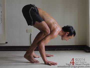 Balancing Yoga Poses  Yoga Basics