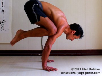 bakasana or crow pose arm balance