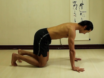plank pose, push up position, yoga poses, yoga postures, core stability yoga poses, core stability exercises