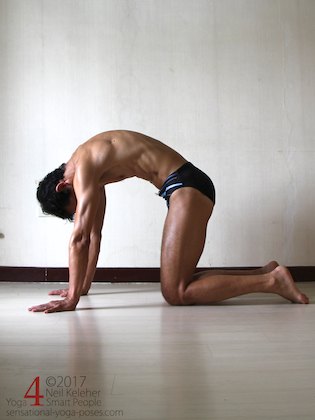 dog pose with tops of the feet on the floor