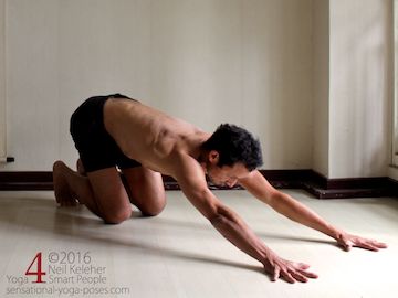 shoulder strengthening exercises, downward dog. Neil Keleher. Sensational Yoga Poses.