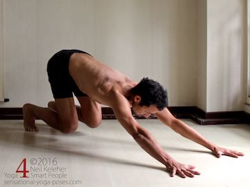 shoulder strengthening exercises, downward dog. Neil Keleher. Sensational Yoga Poses.