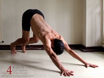 Prone Yoga Poses, down dog with knees bent, Neil Keleher, Sensational Yoga Poses