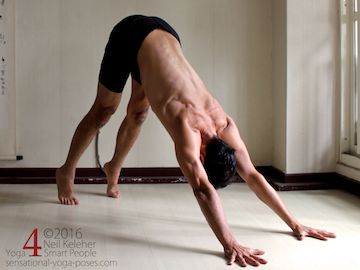 Prone Yoga Poses, down dog with heels lifted, Neil Keleher, Sensational Yoga Poses