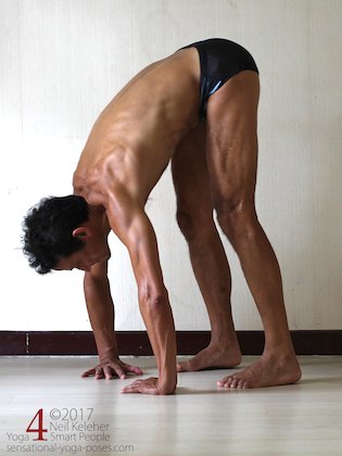 Arm strengthening standing forward bend:  pushing into hands with fingers inwards. Neil Keleher. Sensational Yoga Poses.