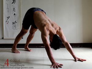 Downward Facing dog shoulder exercise for the trapezius upper and lower fibers, starting position, neil keleher, sensational yoga poses.