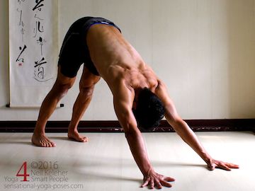 Downward Facing dog shoulder exercise for the trapezius upper and lower fibers, finshing position  position, neil keleher, sensational yoga poses.