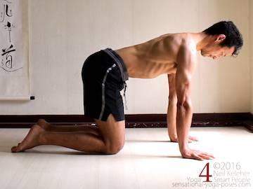 Dog Pose Protraction, Neil Keleher, Sensational yoga poses