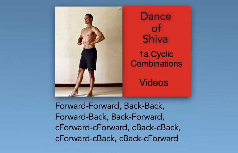 dance of shiva videos, basic cyclic movements, Neil Keleher. Sensational Yoga Poses.