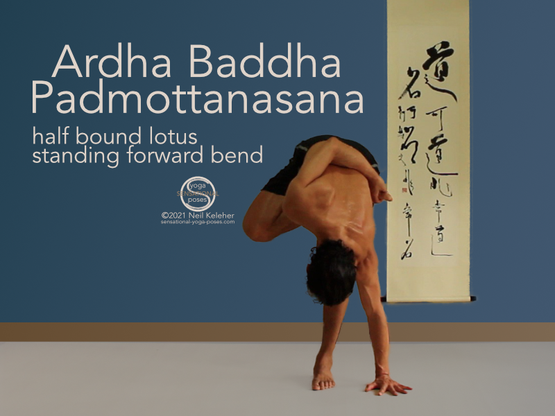 ardha baddha padmasana, half bound lotus standing forward bend