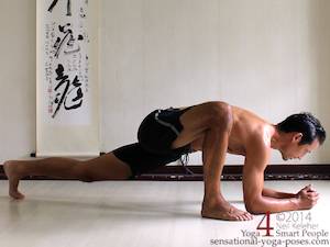 Low lunge (lizard pose) with elbows on the ground. Neil Keleher.