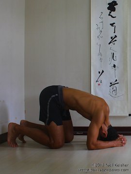 inverted yoga pose, headstand using wall