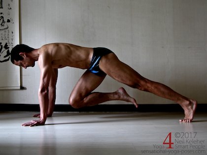 phalakasana/kumbhakasana, plank pose