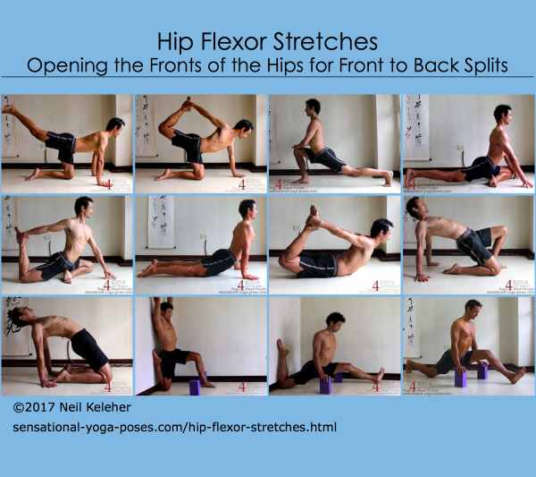 hip flexor stretches: extended leg cat pose, cat pose variation with opposite hand grabbing ankle, bow pose, half bow pose, pigeon variation with same side hand grabbine ankle, camel pose table yoga pose combination with one knee and one foot on the floor, hips lifted, upward dog with toes tucked under, high lunge with hands supported on yoga blocks, upright splits with hands supported on yoga blocks. Neil Keleher, Sensational yoga poses.
