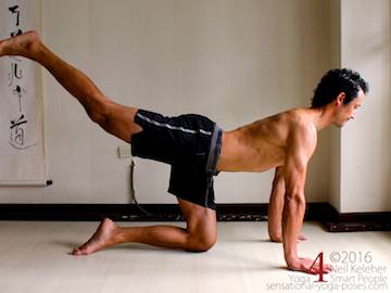 hip flexor stretches, extend leg cat pose with spine bent backwards. Neil keleher, sensational yoga poses.