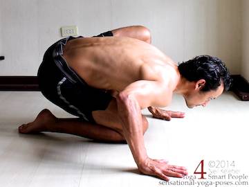 Yoga hip stretch for flexibility, marichyasana e position (non-marichyasana leg in hero position), sinking chest to the floor with hands in push up position (as a possible preparation for binding). Neil Keleher. Sensational Yoga Poses.