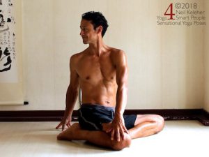 easy bharadvajasana (no lotus).