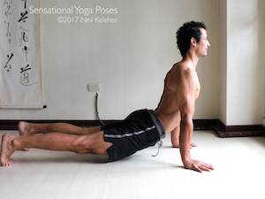 Upward facing dog. Neil Keleher, Sensational Yoga Poses.