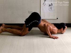 Puppy Dog Chest Stretch,  Neil Keleher, Sensational Yoga Poses.